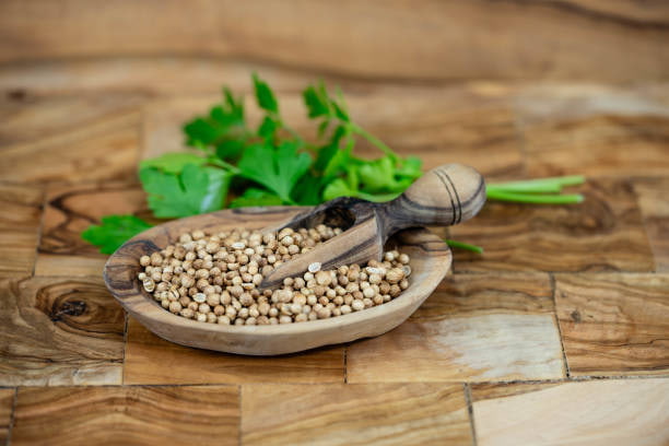 تصویر 1 از خرید و فروش تخم گشنیز خوب با شرایط فوق العاده